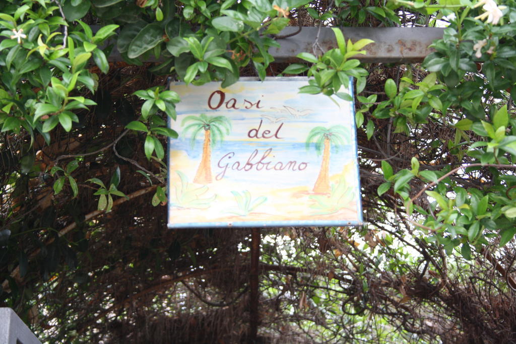 Oasi Del Gabbiano Bed & Breakfast Syracuse Exterior foto